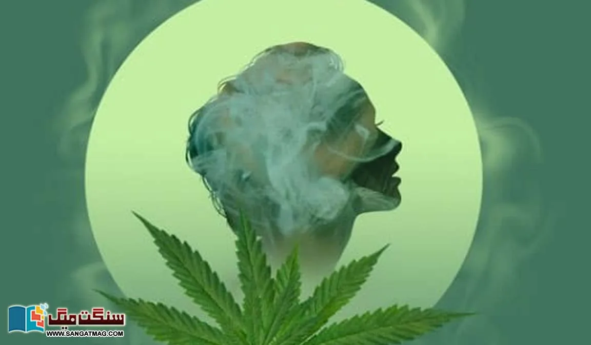 What-causes-an-increase-in-appetite-from-smoking-cannabis-or-weed