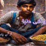 World-of-Chandra-Fiction-selected-from-Urdu-literature-