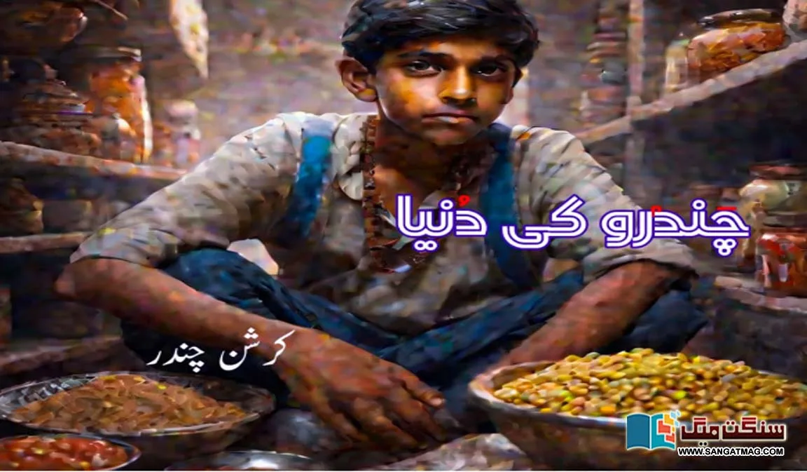 World-of-Chandra-Fiction-selected-from-Urdu-literature-