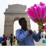 cotton-candy-ban-in-india