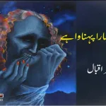 greed-fraud-pakistani-society