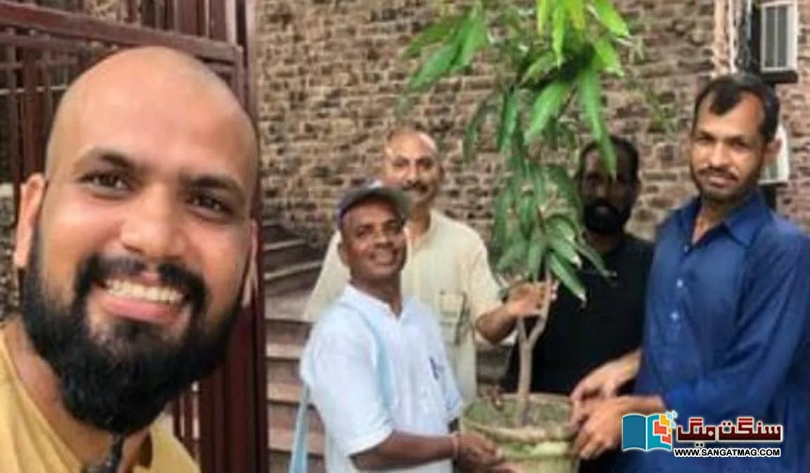 Pakistani-Mango-in-India
