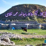 Raja-Noor-Muhammad-Nizami-of-Bhuigad-taxila
