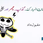 Ramadan-Mubarak-Gadap-mosquito-and-electricity
