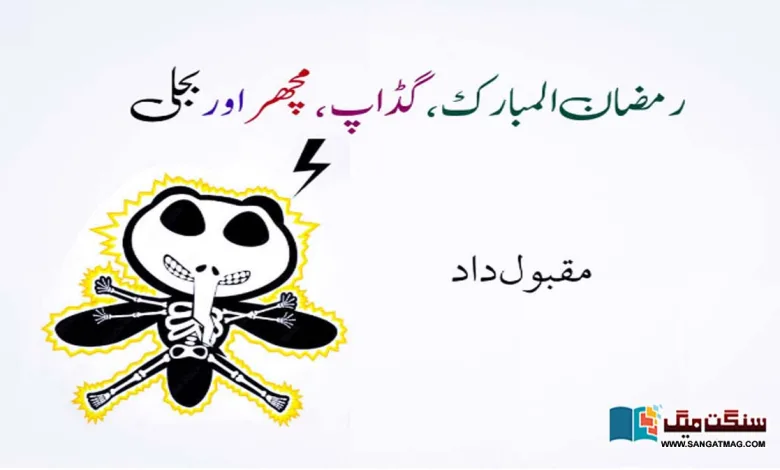 Ramadan-Mubarak-Gadap-mosquito-and-electricity
