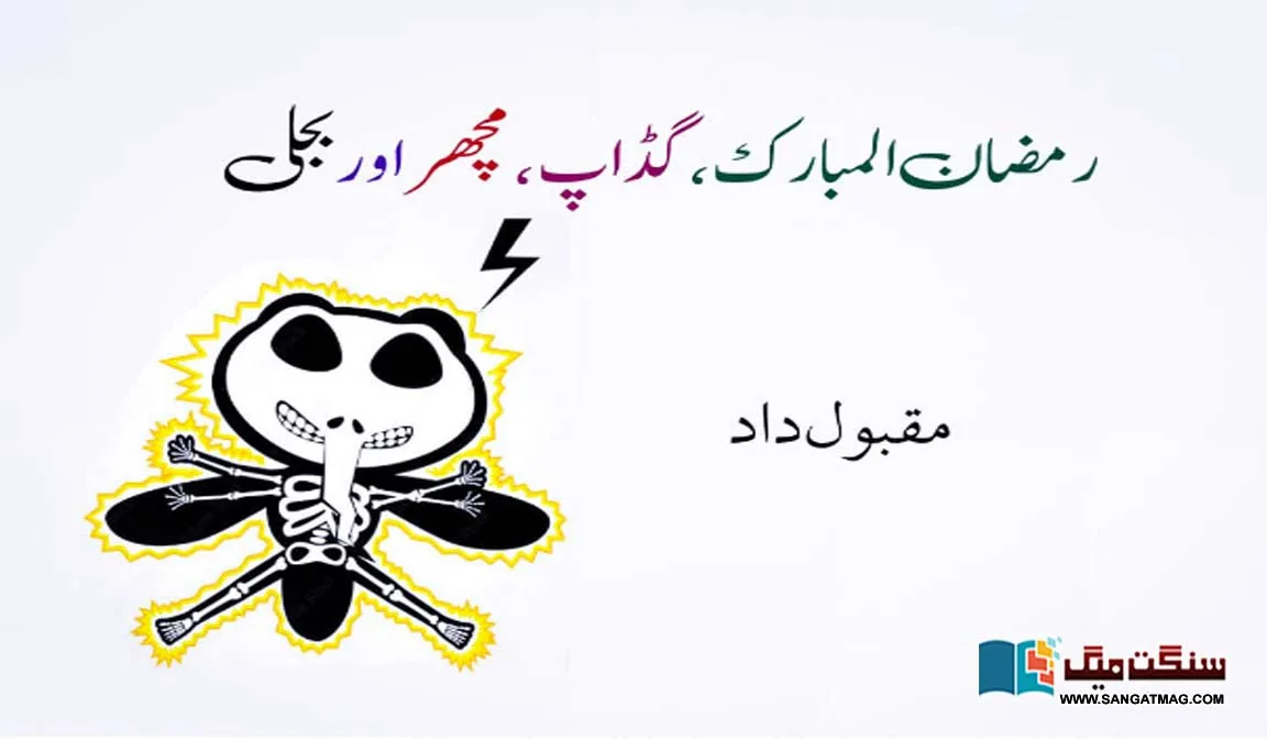Ramadan-Mubarak-Gadap-mosquito-and-electricity