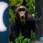 Surprising-Effects-of-Solar-Eclipses-on-Animals