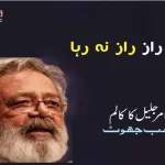 amar-jalil-articles