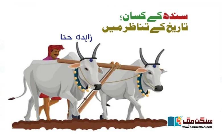 farmer-of-sindh-in-the-context-of-history