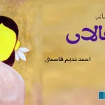 Aalan-Fiction-selected-from-Urdu-Literature