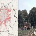 Agriculture-taking-its-last-breath-The-plethora-of-housing-societies-started-swallowing-up-the-countrys-agricultural-land-rapidly