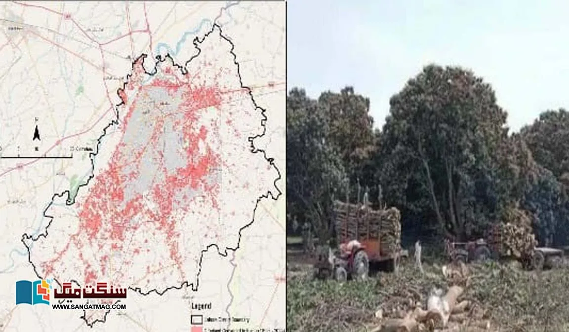 Agriculture-taking-its-last-breath-The-plethora-of-housing-societies-started-swallowing-up-the-countrys-agricultural-land-rapidly
