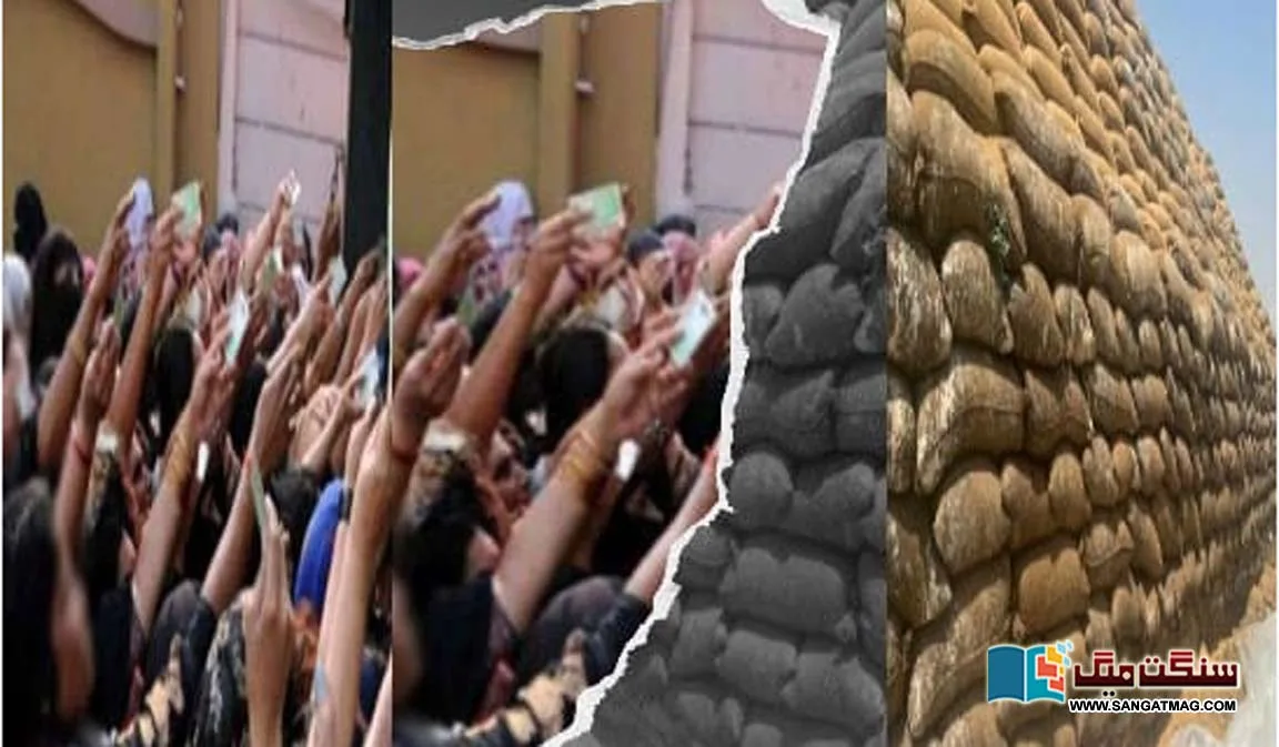 Sindh-Alleged-fraud-in-wheat-records-loss-of-billions-of-rupees-due-to-theft