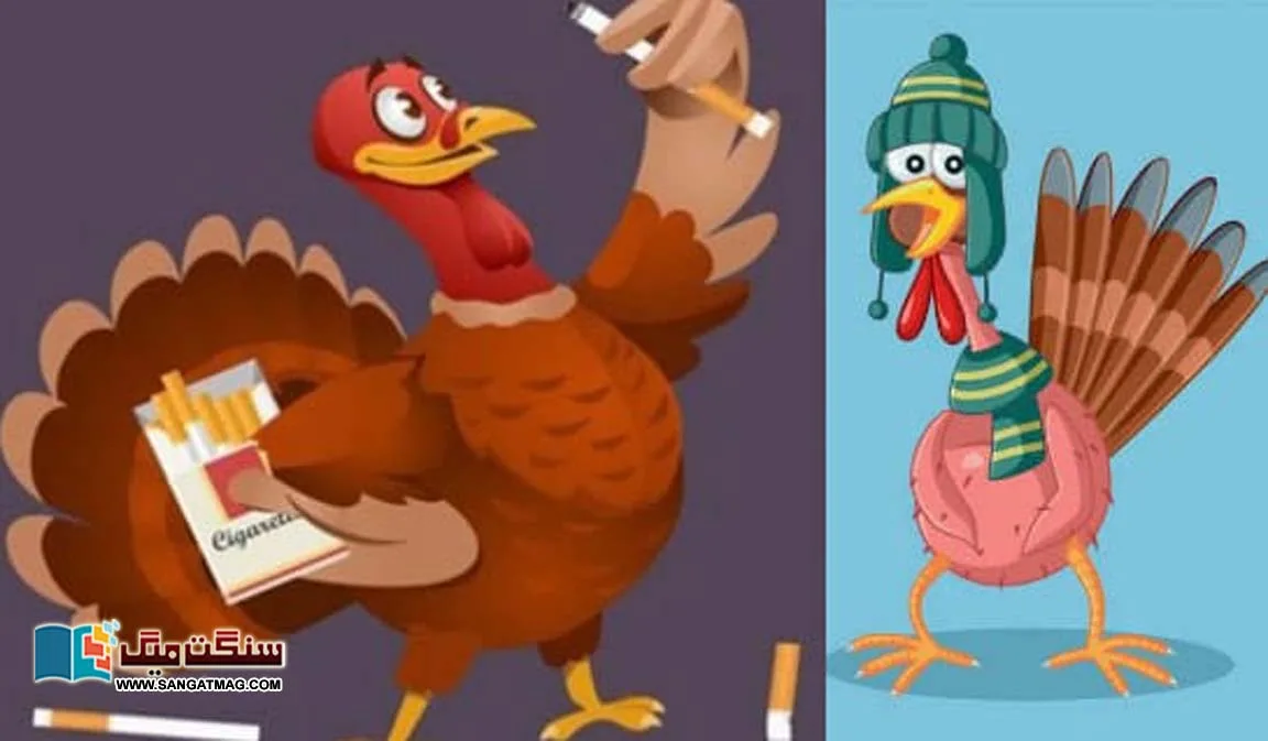 The-interesting-story-of-the-relationship-between-the-turkey-bird-and-the-formula-for-quitting-smoking