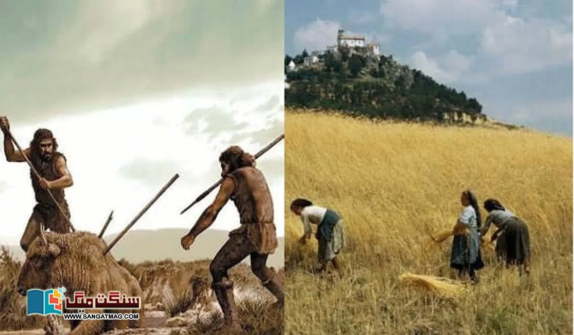 When-and-how-did-the-carnivorous-man-turn-to-agriculture-in-the-course-of-evolution