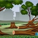 India-Fatwa-of-Islamic-body-against-cutting-down-trees