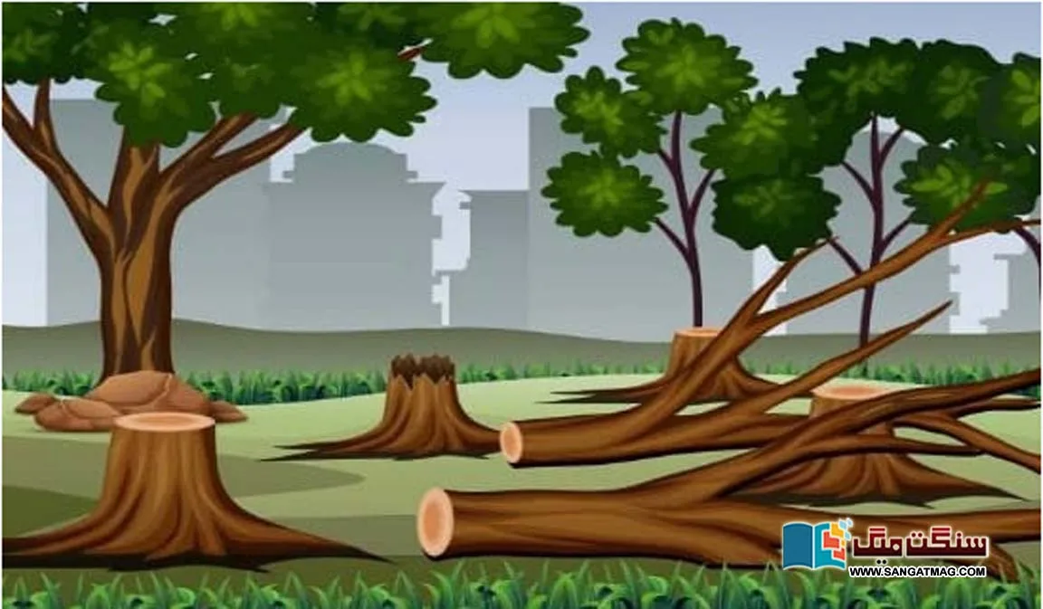 India-Fatwa-of-Islamic-body-against-cutting-down-trees