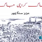 Karachi-Environment-and-flood-of-Housing-societies