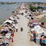Sind-Government-Only-40-of-the-environment-budget-could-be-spent-in-sixteen-years