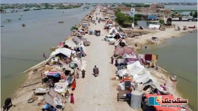 Photo of سندھ: سولہ برسوں میں ماحولیات کے بجٹ کا محض 40 فیصد خرچ ہو سکا!