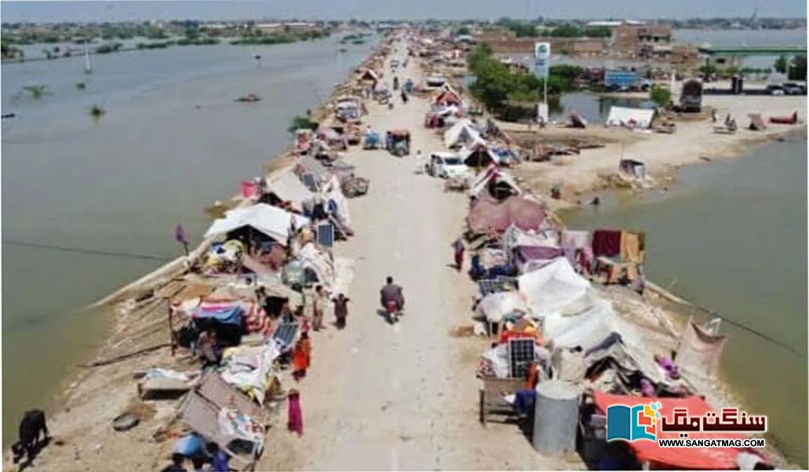 Sind-Government-Only-40-of-the-environment-budget-could-be-spent-in-sixteen-years