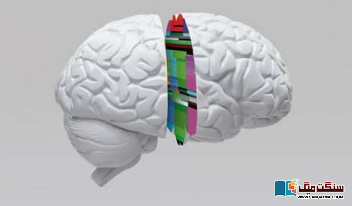 The-human-brain-predicts-and-plans-the-future-in-sleep-research