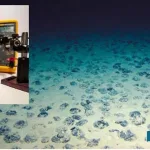 Amazing-story-of-marine-life-oxygen-system-and-scientific-fallacy