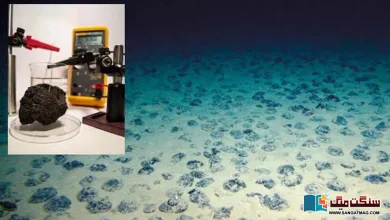 Photo of سمندری حیات، آکسیجن کا نظام اور سائنسی مغالطے کی حیرت انگیز داستان!