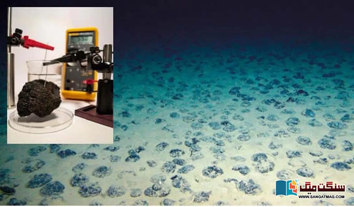 Amazing-story-of-marine-life-oxygen-system-and-scientific-fallacy
