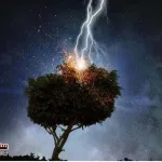 Assumptions-and-facts-about-lightning