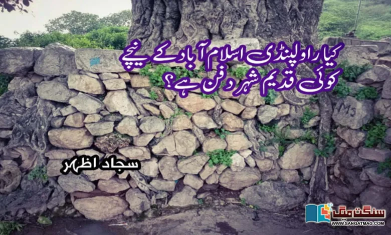 Is-there-any-ancient-city-buried-under-Rawalpindi-Islamabad