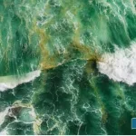 Our-earths-beloved-blue-seas-are-mysteriously-turning-green-what-is-the-reason