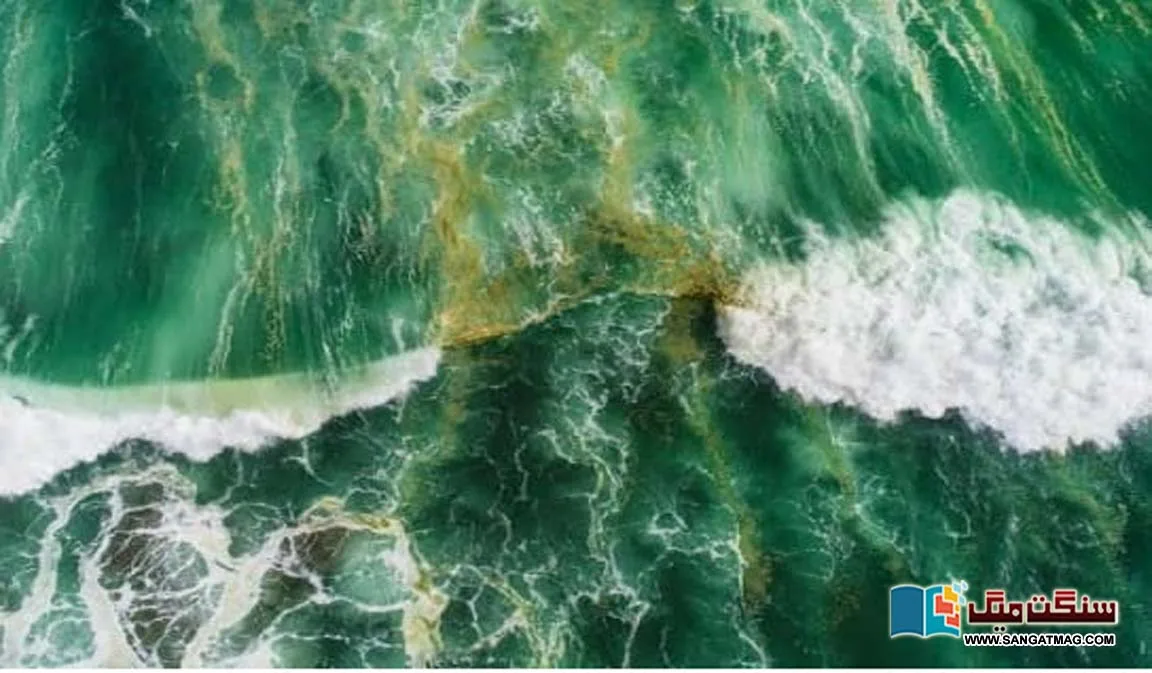 Our-earths-beloved-blue-seas-are-mysteriously-turning-green-what-is-the-reason
