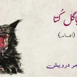 Urdu-Story-omer-darwesh
