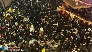 Photo of بڑے ہجوموں میں لوگوں میں بھگدڑ مچنے کے بارے میں سائنس کیا کہتی ہے؟