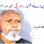PIA-advertisement-US-ambassador-and-we-Pakistani