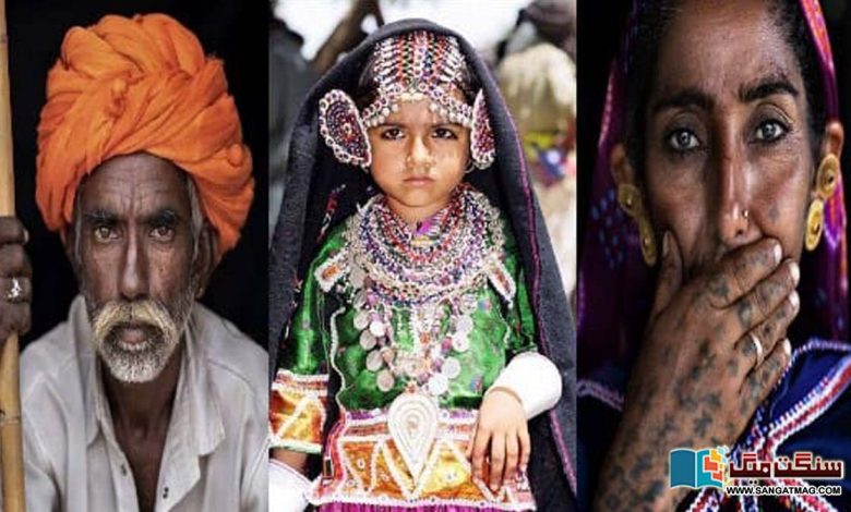 The-Rebari-tribe-of-Thar-Sindh