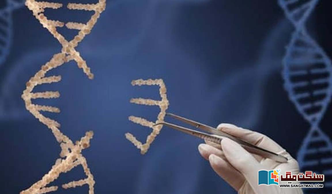 What-is-the-genomics-gap-and-why-is-it-called-a-medical-injustice
