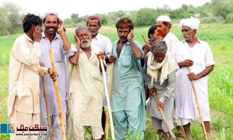 The-Thar-Desert-of-Sindh-the-harbinger-of-rain-and-the-echo-of-folk-songs