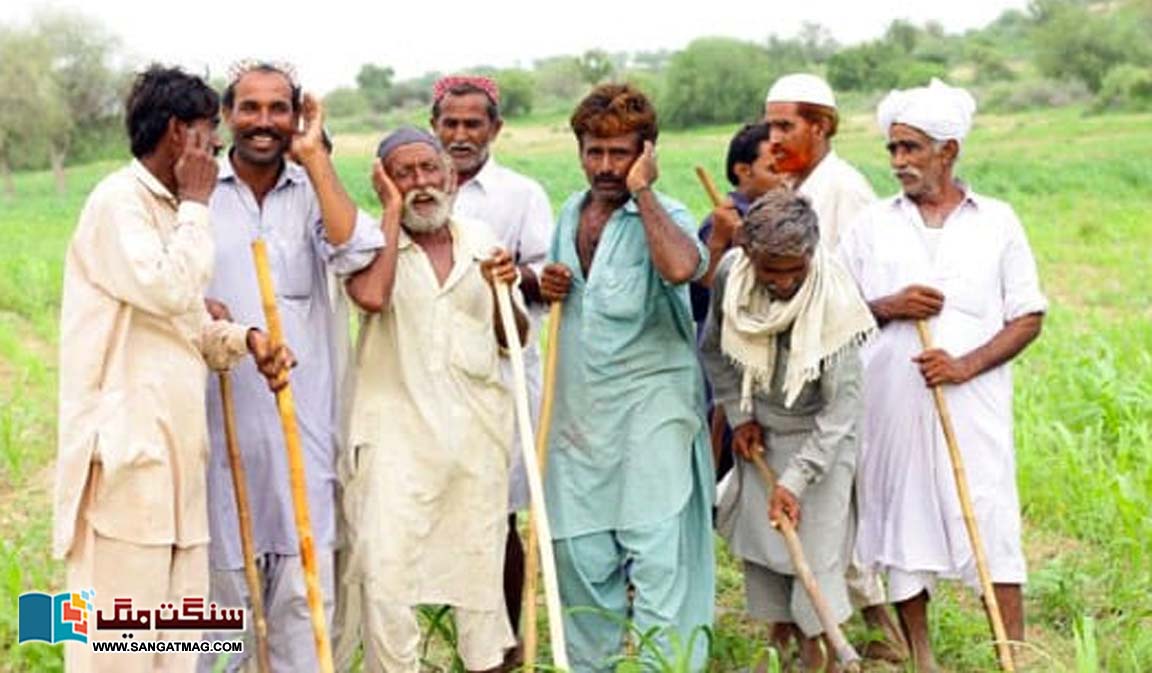 The-Thar-Desert-of-Sindh-the-harbinger-of-rain-and-the-echo-of-folk-songs