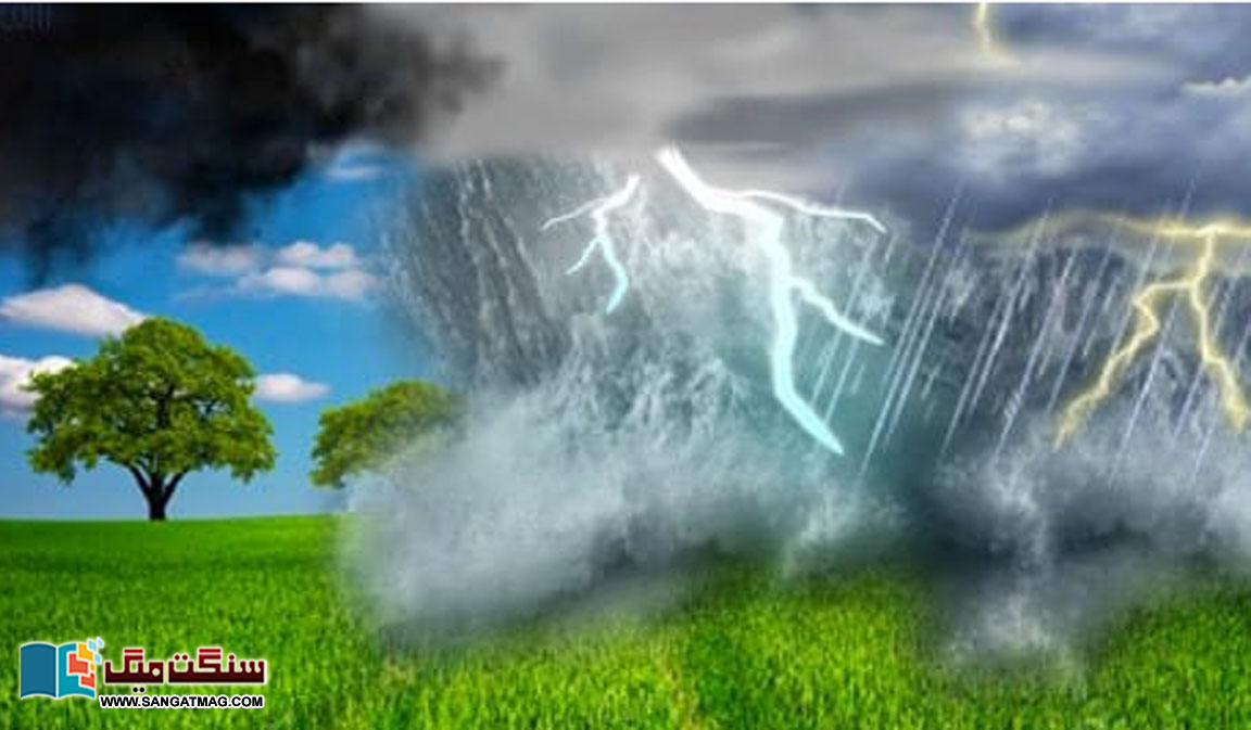 changing-rainfall-patterns-from-climate-change-alter-the-fate-of-rainforest