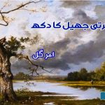 urdu-short-story-by-amar-gul