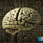 How-much-data-can-be-stored-in-a-human-brain-compared-to-a-computer-Amazing-comparison