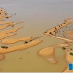 The-Sahara-Desert-The-Song-of-Raindrops-on-Dry-Sand-Fifty-Years-Later