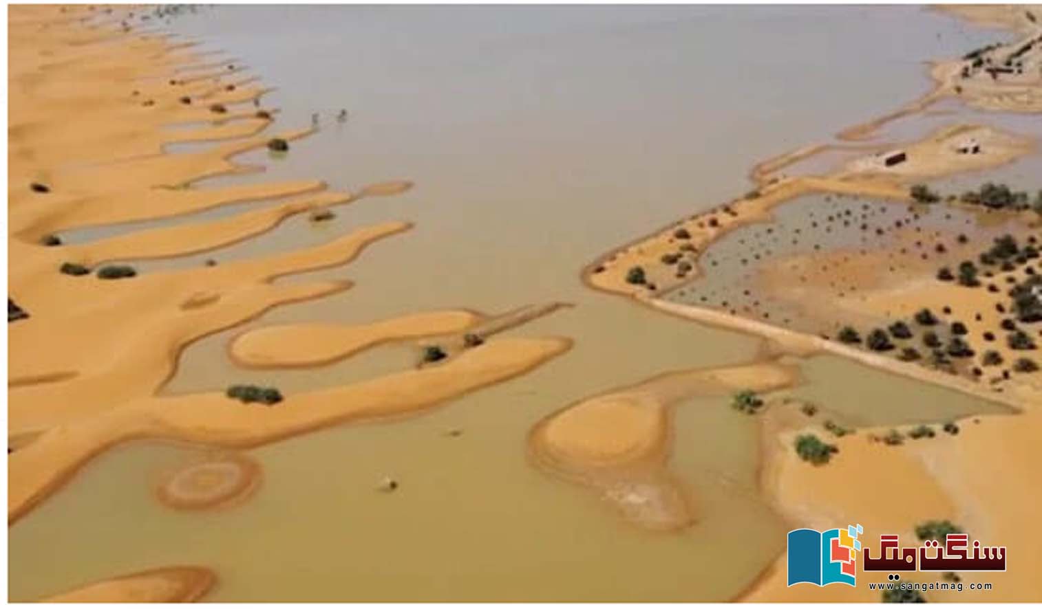 The-Sahara-Desert-The-Song-of-Raindrops-on-Dry-Sand-Fifty-Years-Later