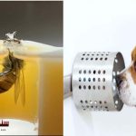 Amazing-ability-of-bees-and-dogs-to-detect-cancer-before-medical-diagnosis