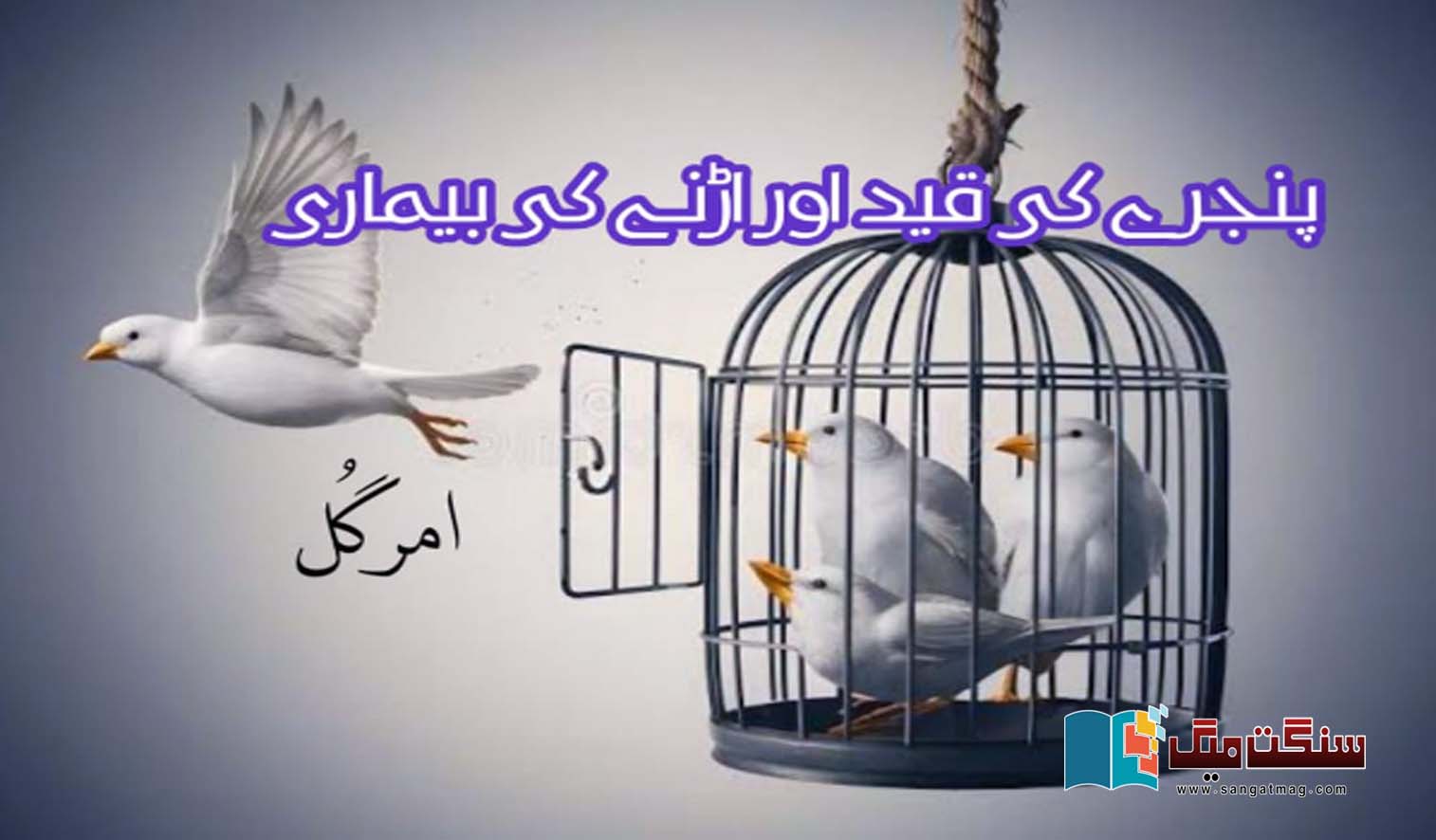 Cage-confinement-and-flying-sickness-and-Birds-freedom