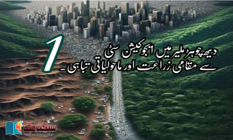 Education-City-Malir-Environmental-impacts-and-agricultural-Lands.