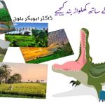stop-playing-with-nature-save-Malir-save-Environment