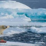 Almost-all-of-the-Arctic-sea-ice-may-melt-by-2027-What-if-this-happens